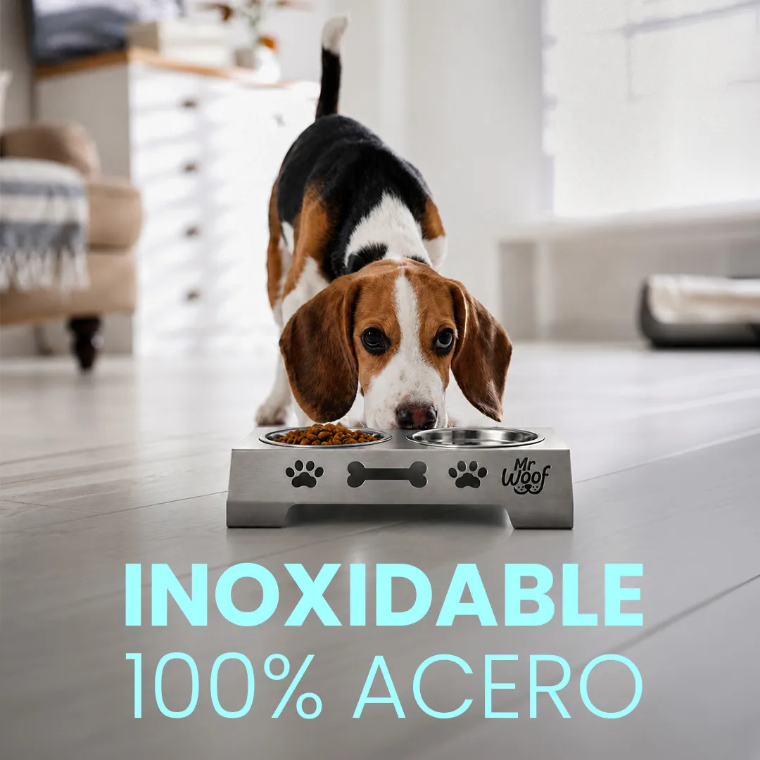 Perro feliz 1