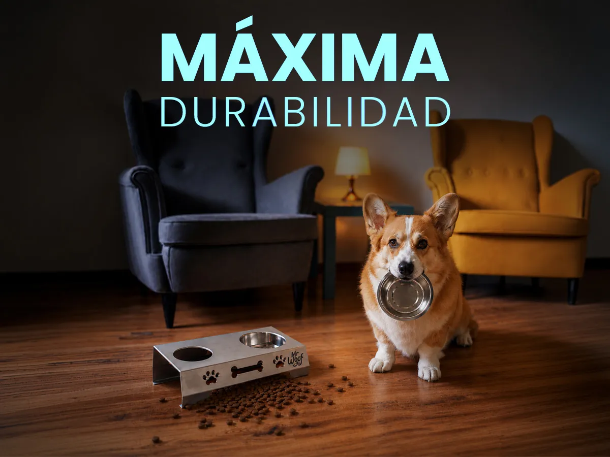 Perro feliz 4