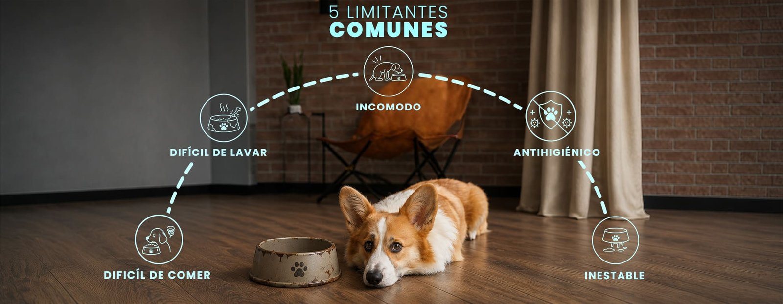 Comparativa hover