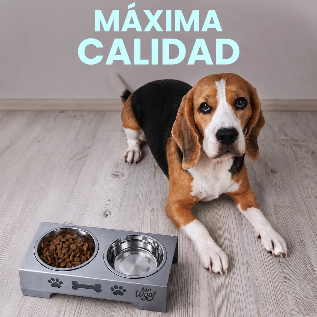Perro feliz 1 hover