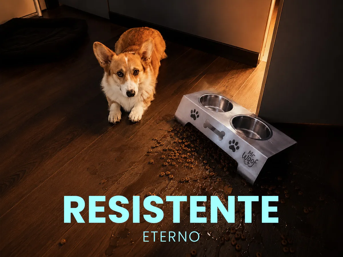 Perro feliz 4 hover