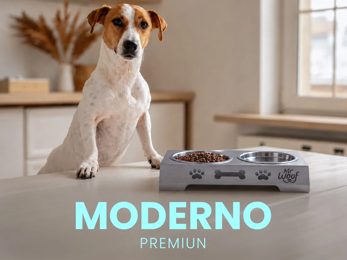 Perro feliz 5 hover